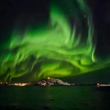 Apartment At Lofoten. Molnarodden.