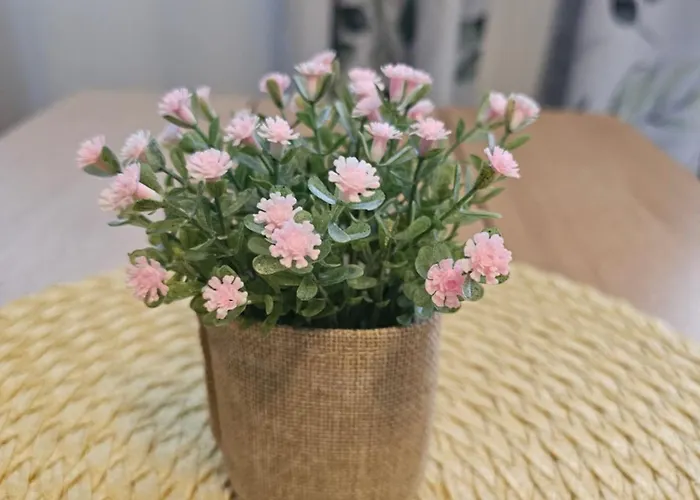 At Lofoten. Molnarodden. *