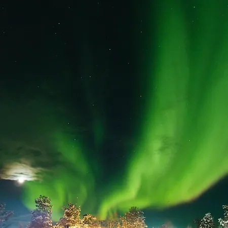 Apartmán At Lofoten. Molnarodden. Sund (Nordland)