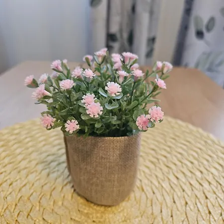 At Lofoten. Molnarodden. *